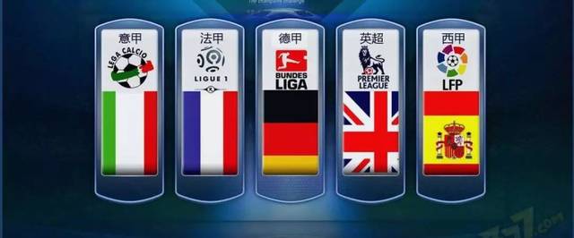 仅标志着叶 仅标志着叶